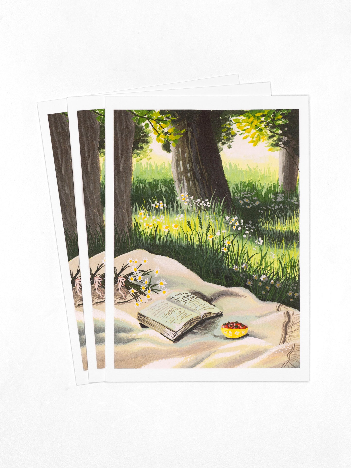 A6 "Book" Fine Art Print