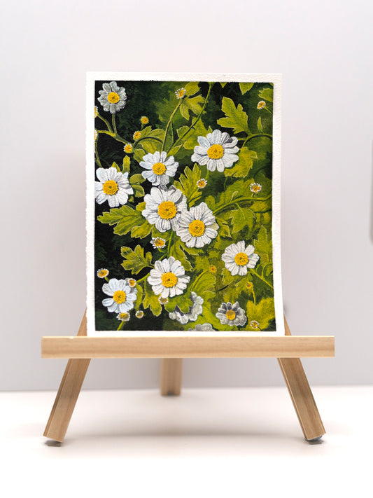 "Chamomile" Original Gouache Painting