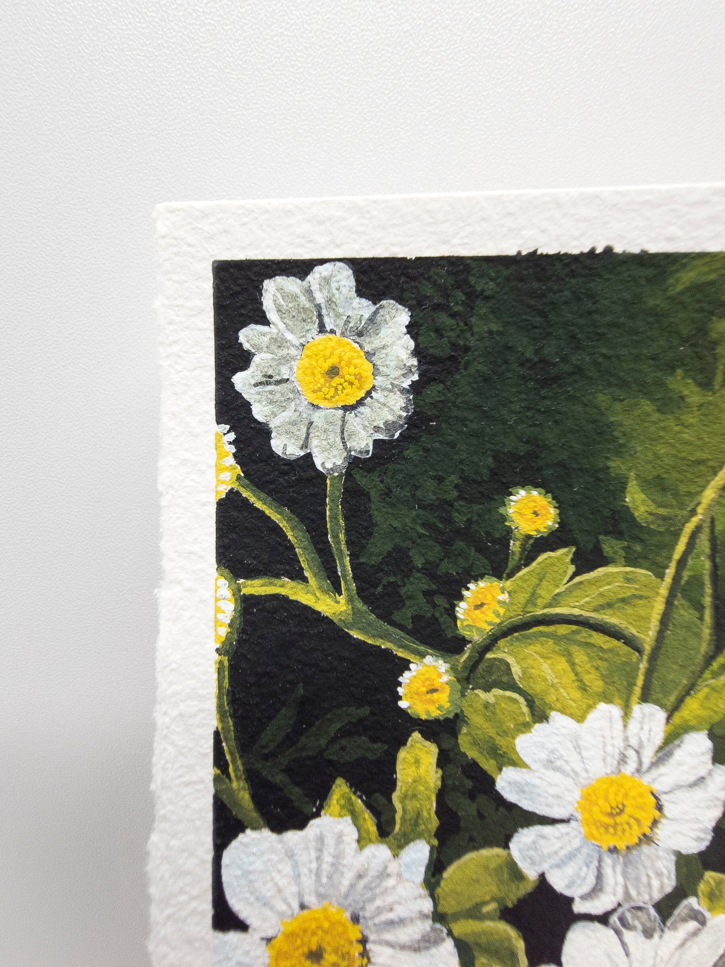 "Chamomile" Original Gouache Painting